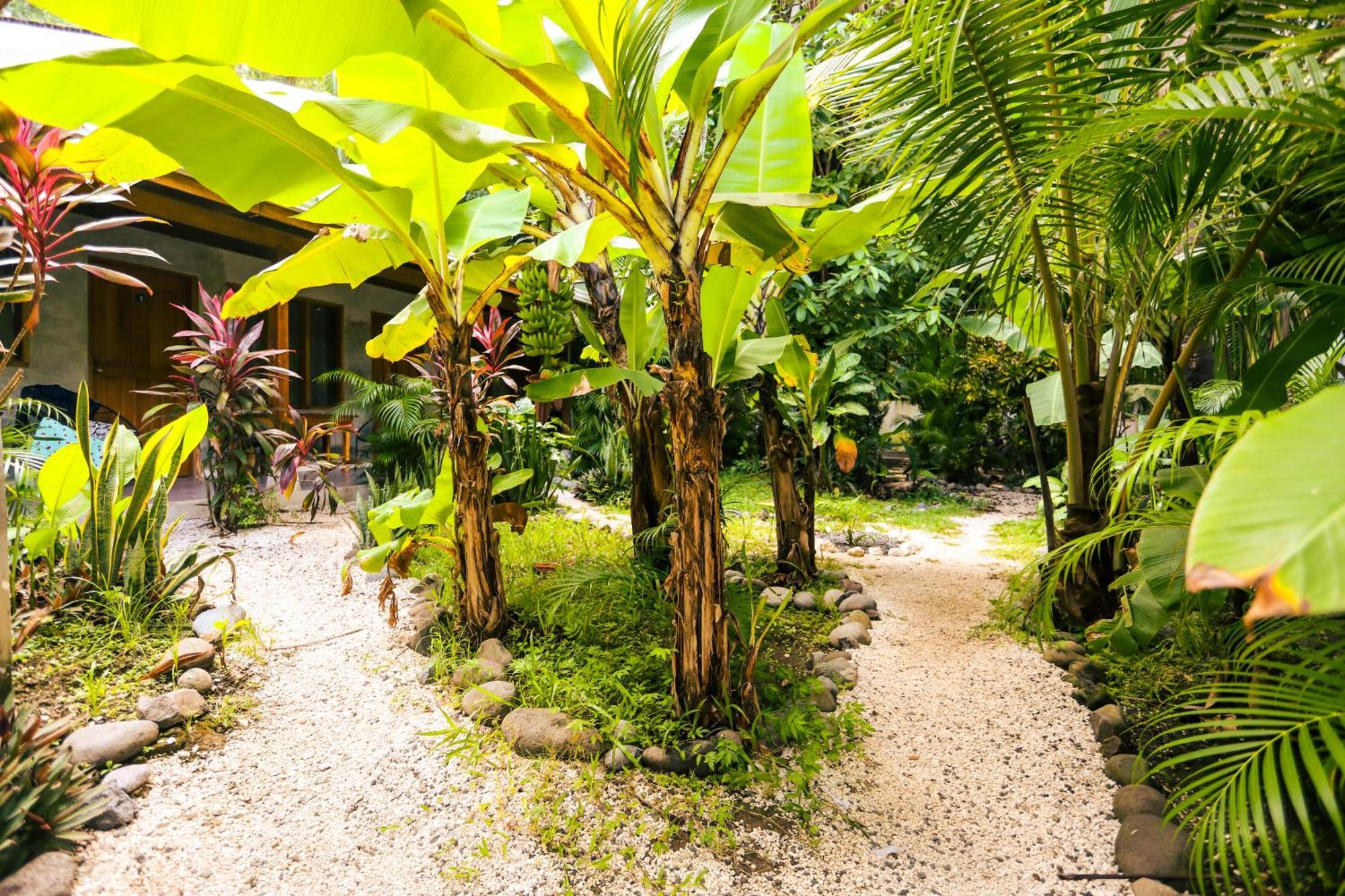 Cabinas Playa Surf Hostel Playa Santa Teresa  Esterno foto