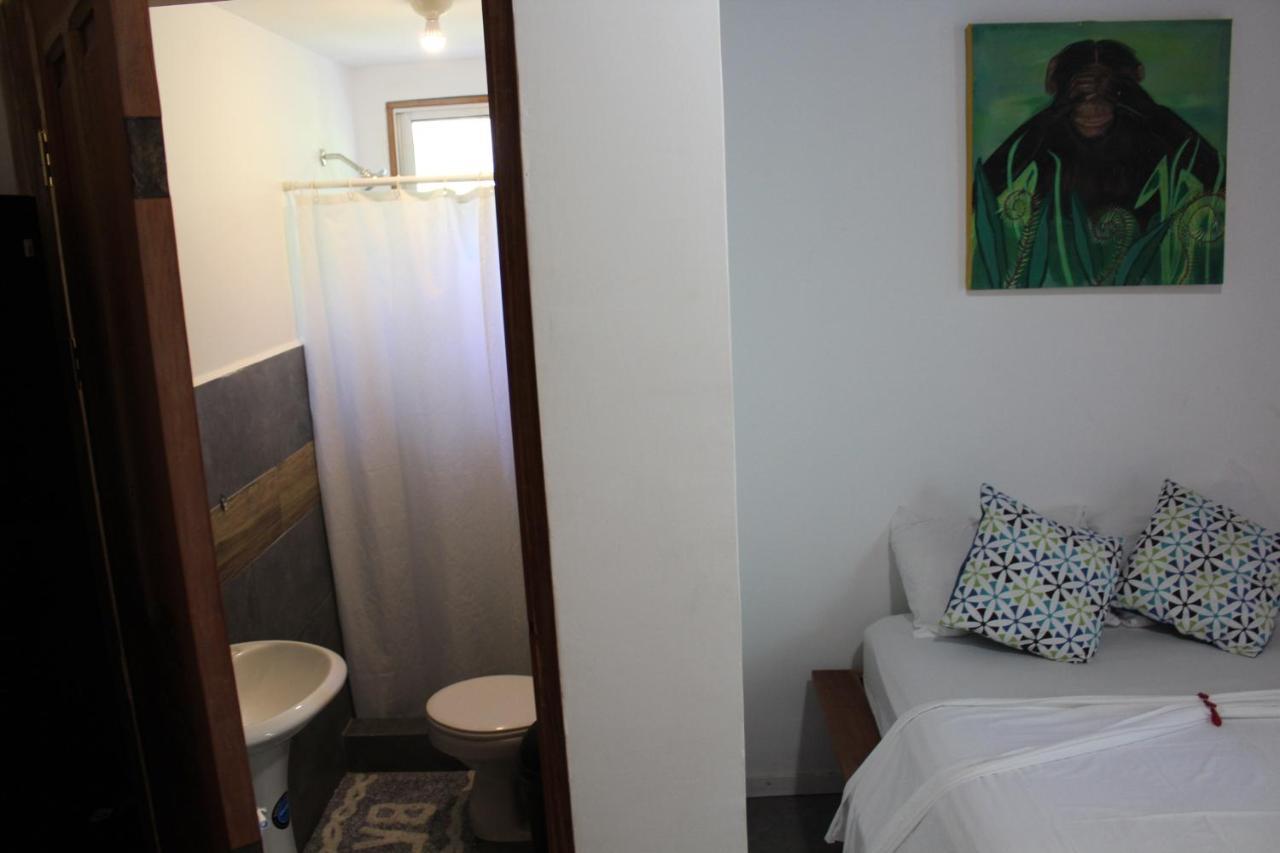 Cabinas Playa Surf Hostel Playa Santa Teresa  Esterno foto